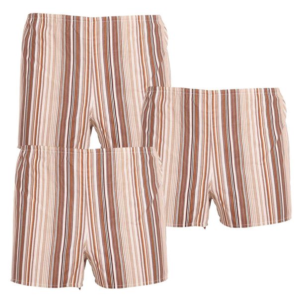 Foltýn 3PACK Men's Classic Foltýn Shorts brown with stripes