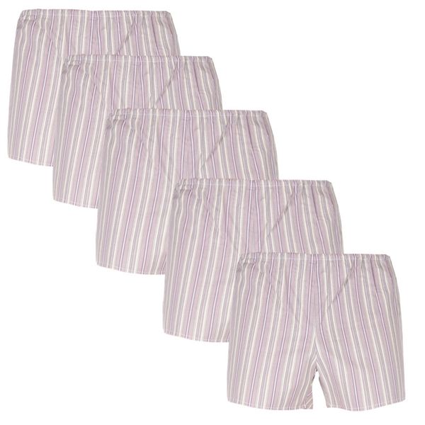 Foltýn 5PACK classic men's shorts Foltýn brown with stripes
