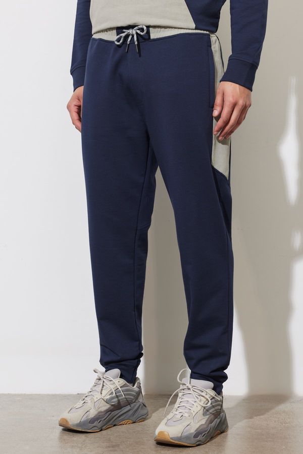 ALTINYILDIZ CLASSICS ALTINYILDIZ CLASSICS Men's Navy Blue Standard Fit Regular Cut Sweatpants.