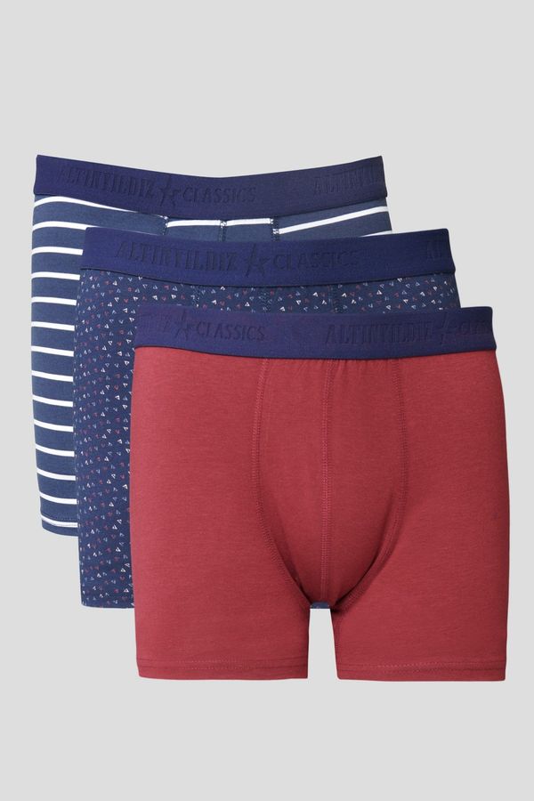 ALTINYILDIZ CLASSICS ALTINYILDIZ CLASSICS Men's Navy-burgundy 3-Pack Cotton Stretchy Boxer