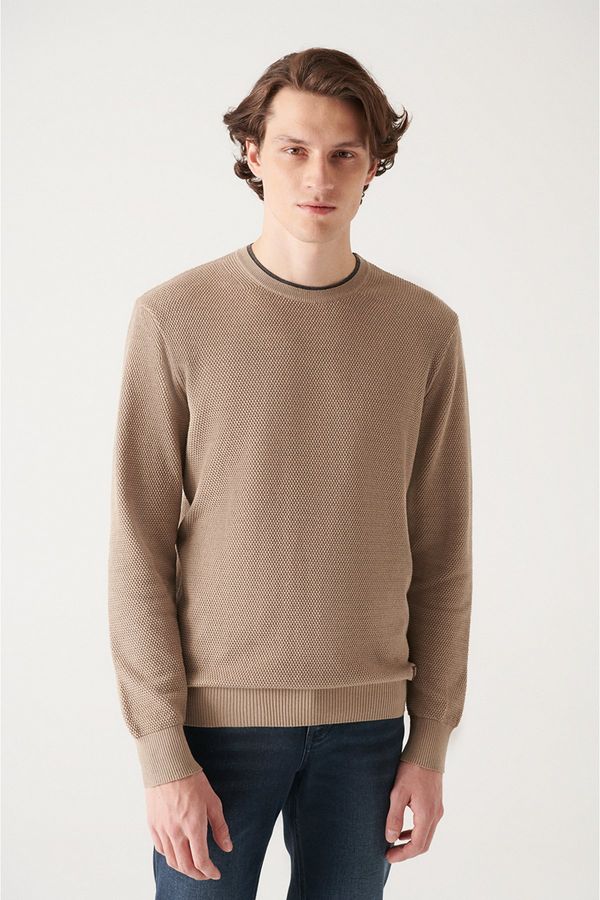 Avva Avva Men's Beige Double Collar Detailed Textured Cotton Regular Fit Knitwear Sweater