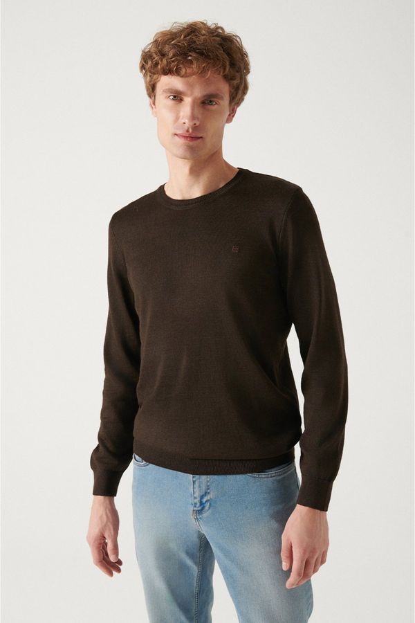 Avva Avva Men's Brown Crew Neck Wool Blend Standard Fit Regular Cut Knitwear Sweater