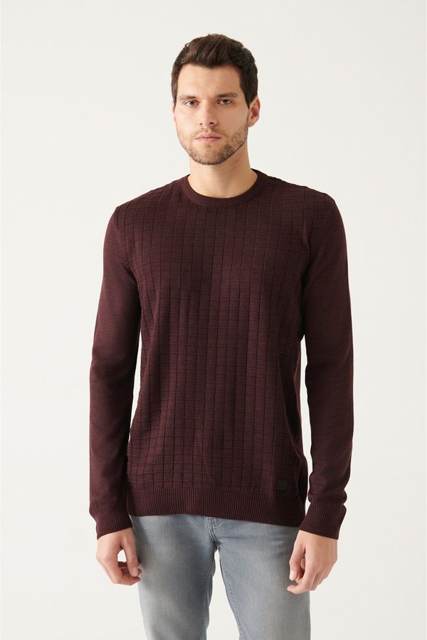 Avva Avva Men's Burgundy Crew Neck Front Textured Standard Fit Normal Cut Knitwear Sweater