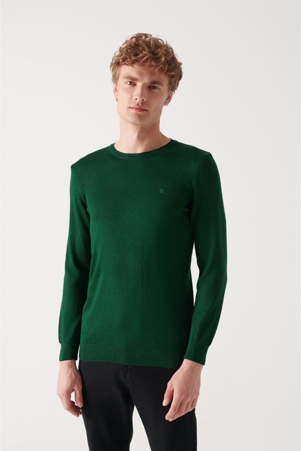 Avva Avva Men's Green Crew Neck Wool Blend Standard Fit Regular Cut Knitwear Sweater