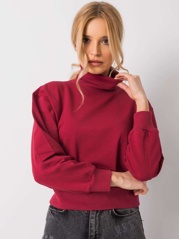 Fashionhunters Basic brown sweatshirt with turtleneck