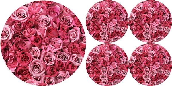 Bertoni Home Bertoni Home Unisex's 1+4 Round Table Pads Set Valentine Roses