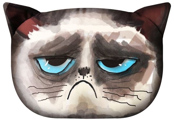 Bertoni Home Bertoni Home Unisex's Cat Pillow Grumpy