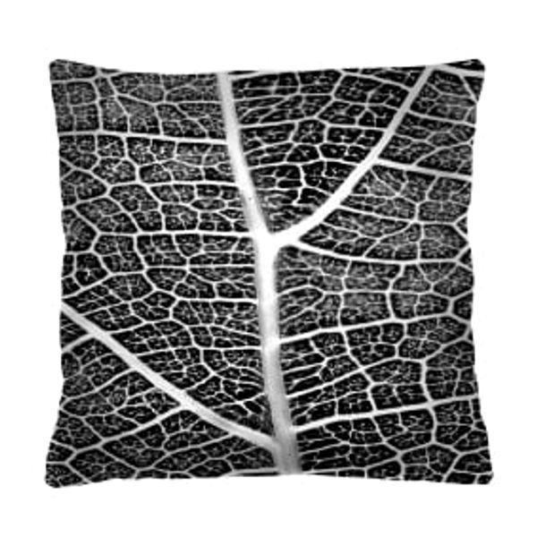 Bertoni Home Bertoni Home Unisex's Square Pillow Tkanka