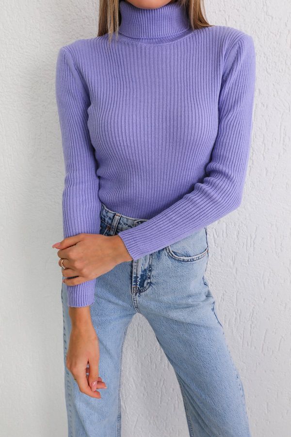 BİKELİFE BİKELİFE Women's Lilac Lycra Stretchy Turtleneck Knitwear Sweater