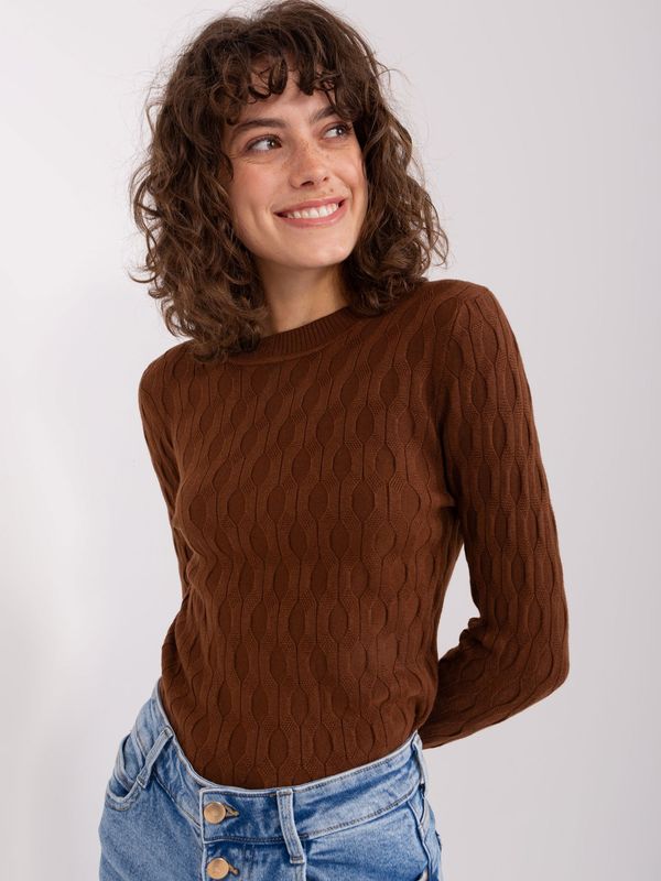 Fashionhunters Brown classic sweater with long sleeves