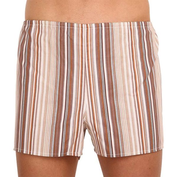 Foltýn Classic men's shorts Foltýn brown with stripes oversize