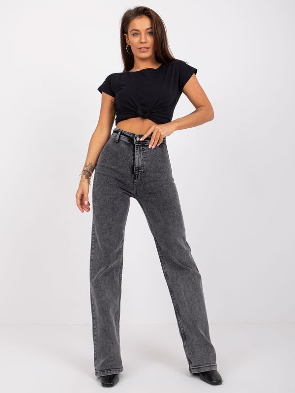 Fashionhunters Dark gray high-waisted Batty denim