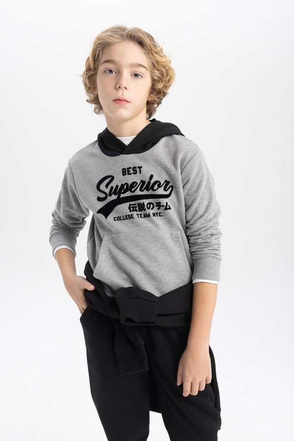 DEFACTO DEFACTO Boy Hooded Thick Sweatshirt Fabric Sweatshirt