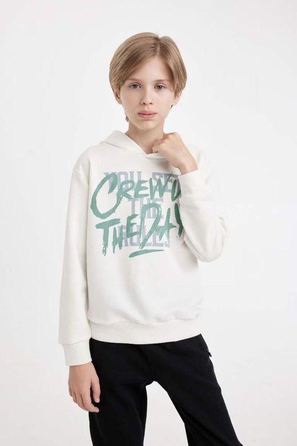 DEFACTO DEFACTO Boy Printed Hooded Sweatshirt