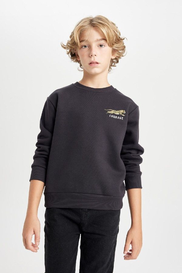 DEFACTO DEFACTO Boy's Crew Neck Printed Thick Sweatshirt