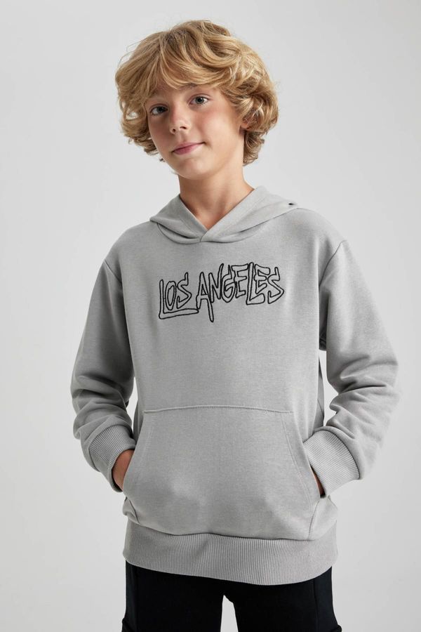 DEFACTO DEFACTO Boys' Hooded Thick Sweatshirt