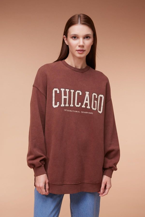 DEFACTO DEFACTO Crew Neck Printed Soft Fuzzy Sweatshirt Tunic