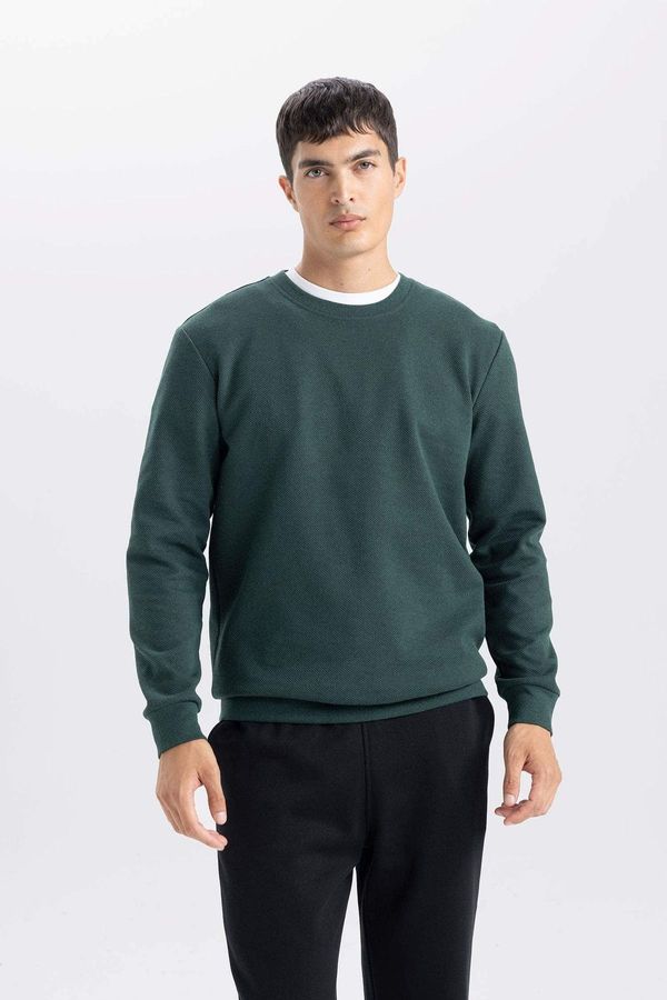 DEFACTO DEFACTO DFC - Regular Fit Crew Neck Jacquard Sweatshirt