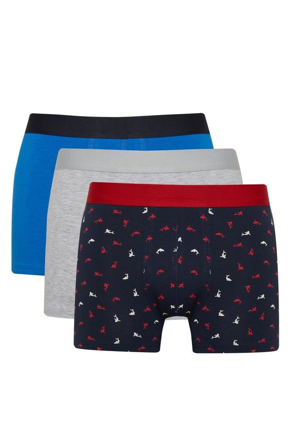 DEFACTO DEFACTO Regular Fit 3-Piece Boxer