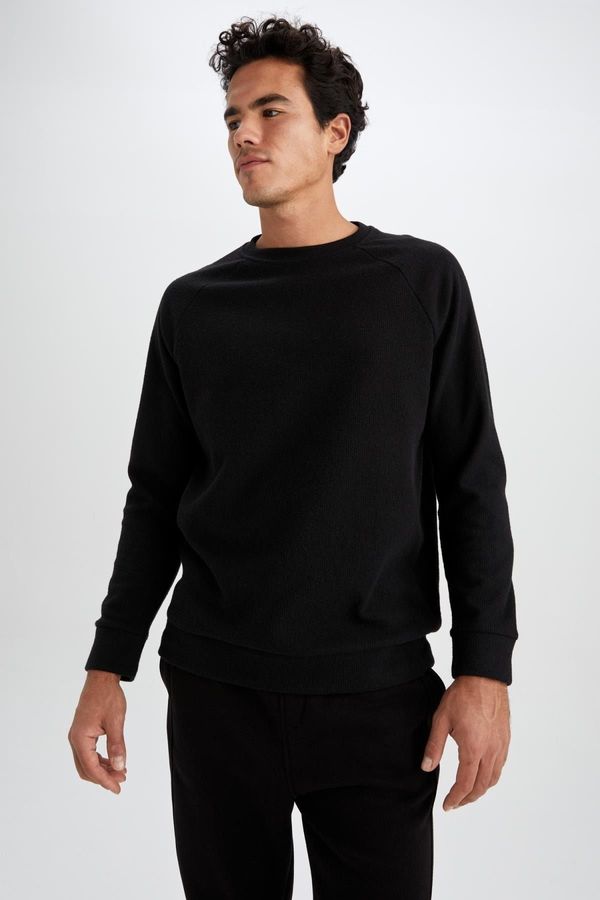 DEFACTO DEFACTO Regular Fit Crew Neck Sweatshirt