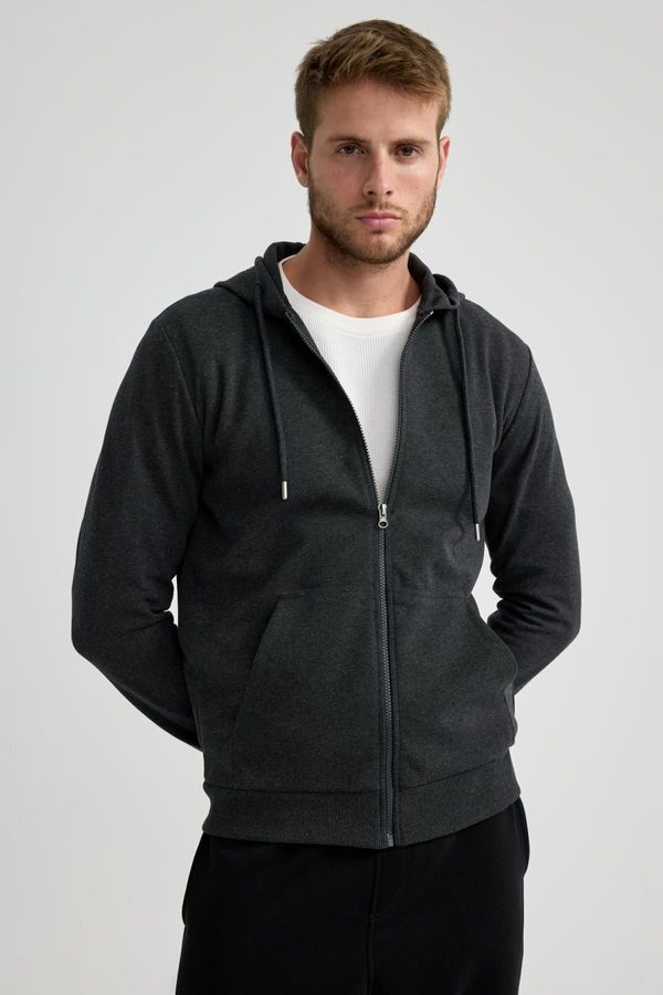 DEFACTO DEFACTO Regular Fit Hooded Zipper Sweatshirt