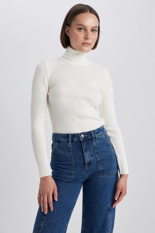 DEFACTO DEFACTO Slim Fit Turtleneck Sweater