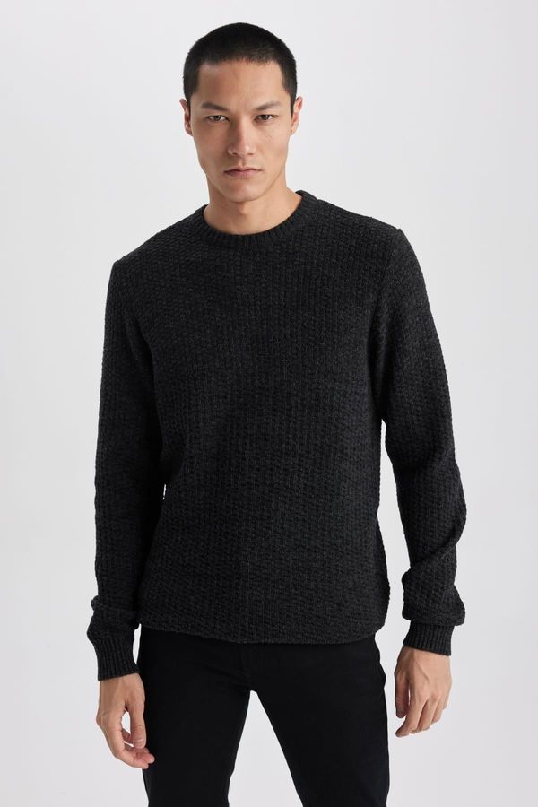 DEFACTO DEFACTO Standard Fit Crew Neck Knitwear Sweater