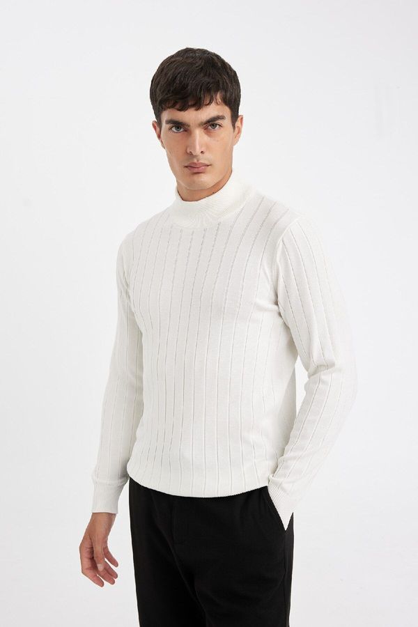 DEFACTO DEFACTO Standard Fit Turtleneck Knit Sweater