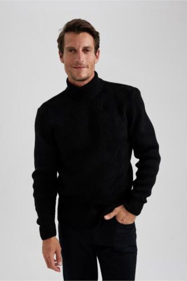 DEFACTO DEFACTO Standard Fit Turtleneck Sweater