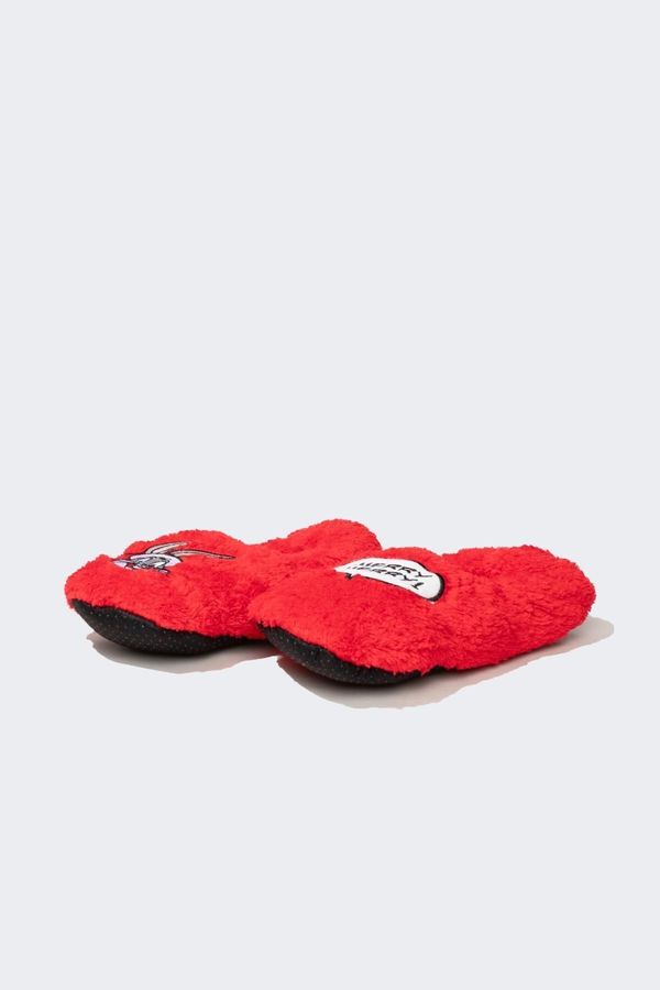 DEFACTO DEFACTO Women's Looney Tunes Flat Sole Home Slippers