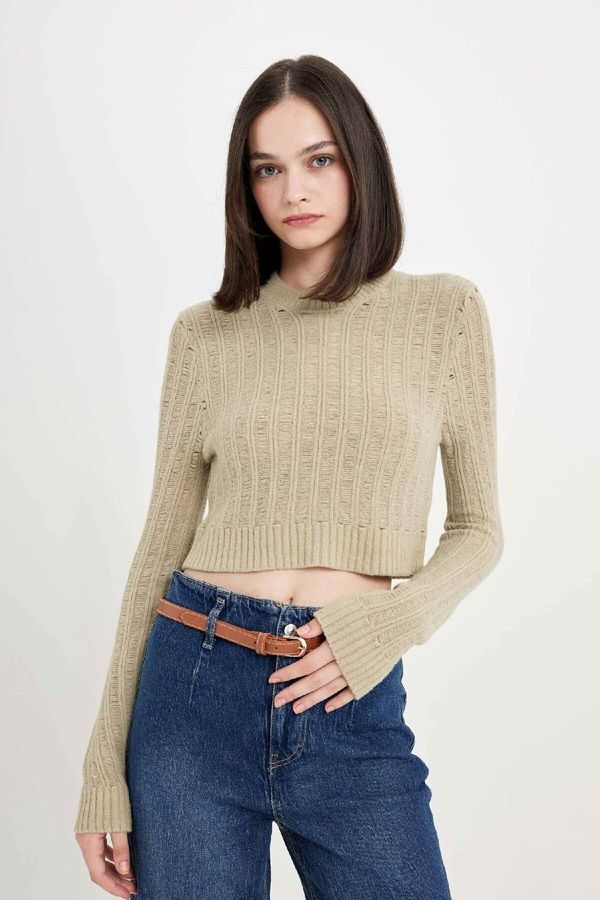 DEFACTO DEFACTO Women's Regular Fit Crop Crew Neck Knitted Hole Knitwear Sweater