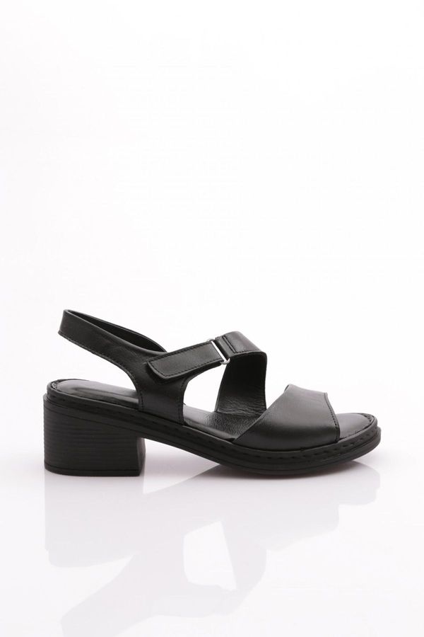 DGN DGN 301 Women's Back Tie Sandals Genuine Leather Black Black