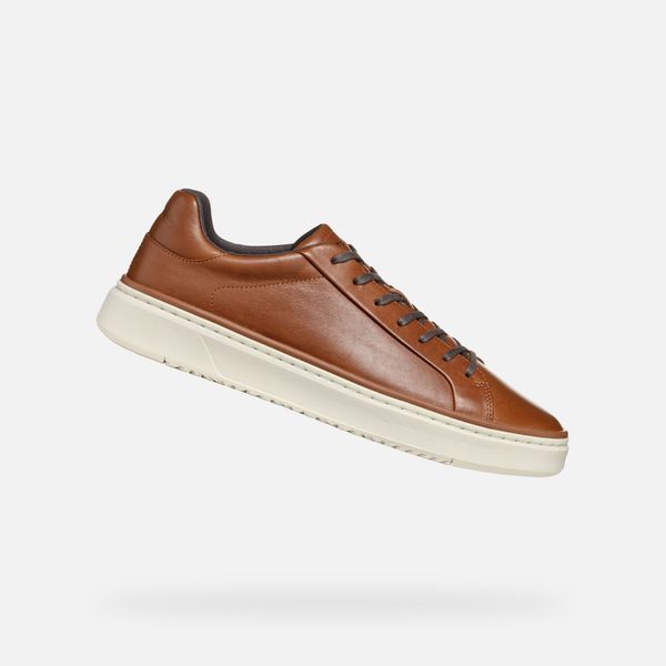 GEOX GEOX Brown men's sneakers Zackerty - Men's