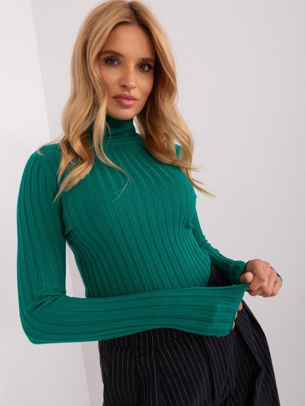 Fashionhunters Green fitted ribbed turtleneck sweater