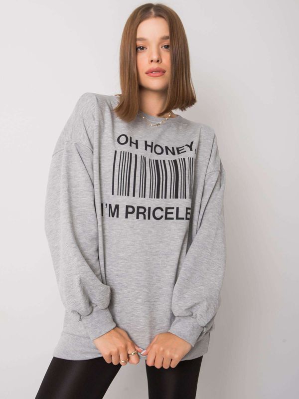 Fashionhunters Grey hoodie with lettering