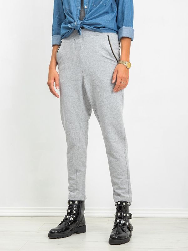 Fashionhunters Grey trousers with zippers