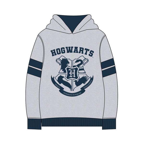 HARRY POTTER HOODIE COTTON BRUSHED HARRY POTTER