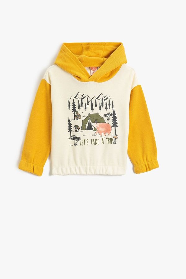 Koton Koton Teddy Bear Print Hooded Sweatshirt with Color Contrast Elasticated Cuffs and Waist.