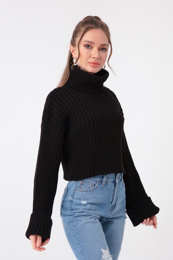 Lafaba Lafaba Women's Black Wide Ribbed Turtleneck Crop Sweater