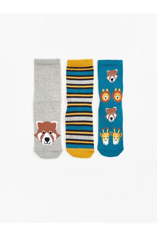 LC Waikiki LC Waikiki 3-Piece Boys' Crew Neck Socks