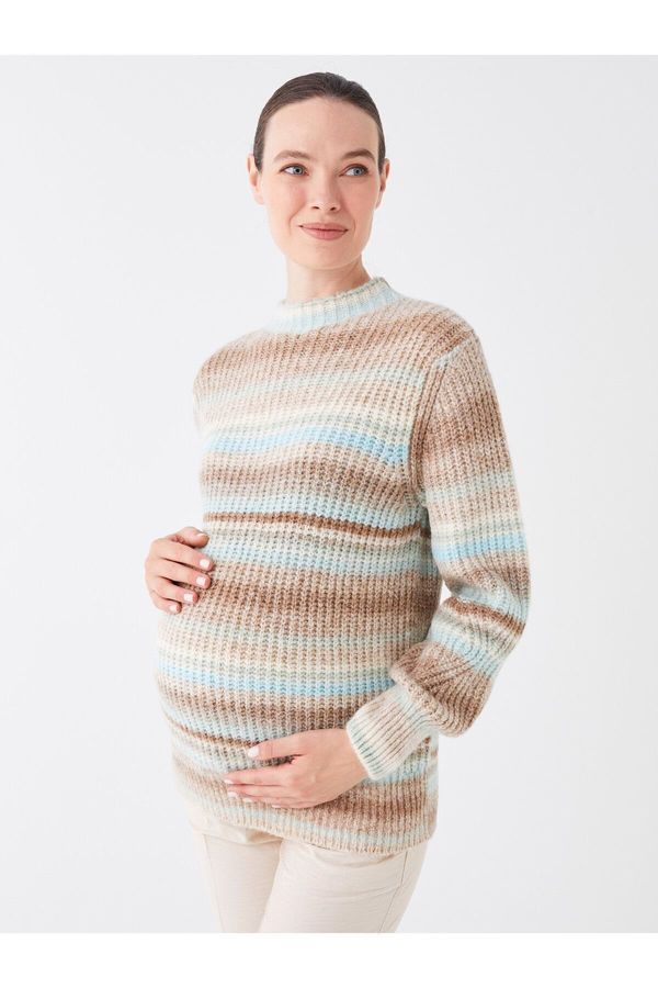 LC Waikiki LC Waikiki Half Turtleneck Striped Long Sleeve Maternity Knitwear Sweater