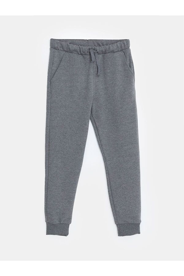 LC Waikiki LC Waikiki Lcw Elastic Waist Boys' Thick Jogger Sweatpants