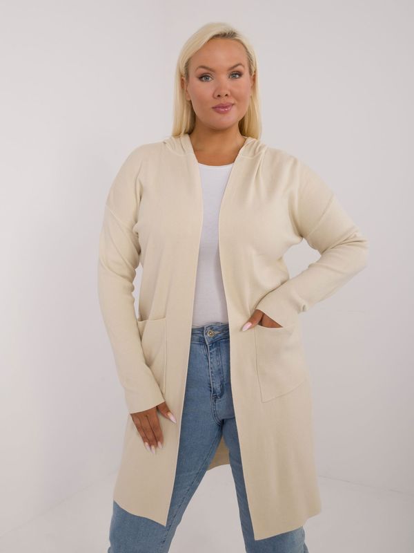 Fashionhunters Light beige sweater in larger size with long sleeves