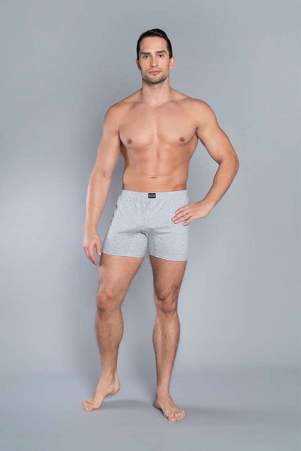 Italian Fashion Men's boxer shorts - melange