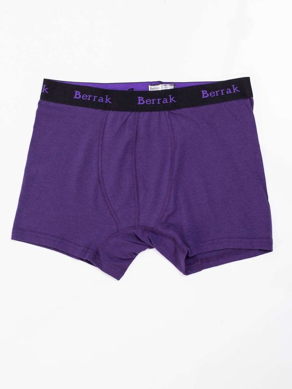 Fashionhunters Men's boxers in purple color