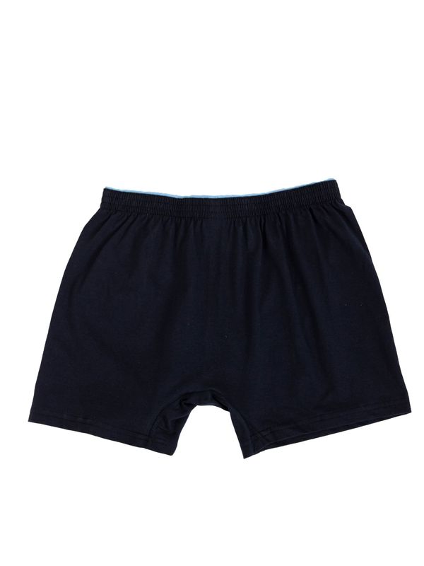 Fashionhunters Men's cotton boxers in dark blue