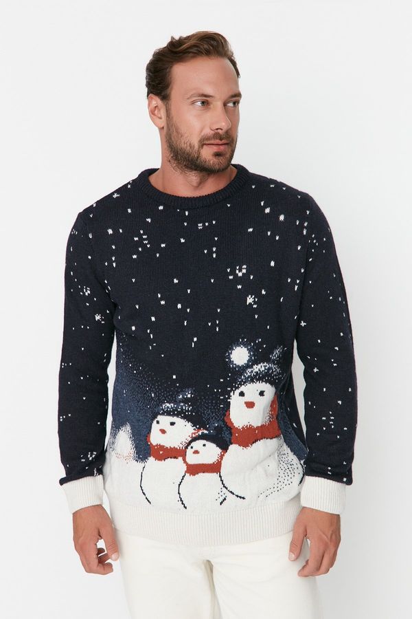 Trendyol Men's sweater Trendyol