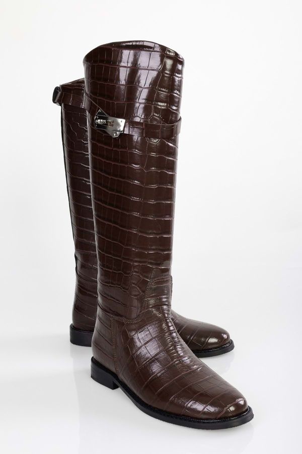 Shoeberry Shoeberry Women's Matia Brown Crocodile Rider Long Boots