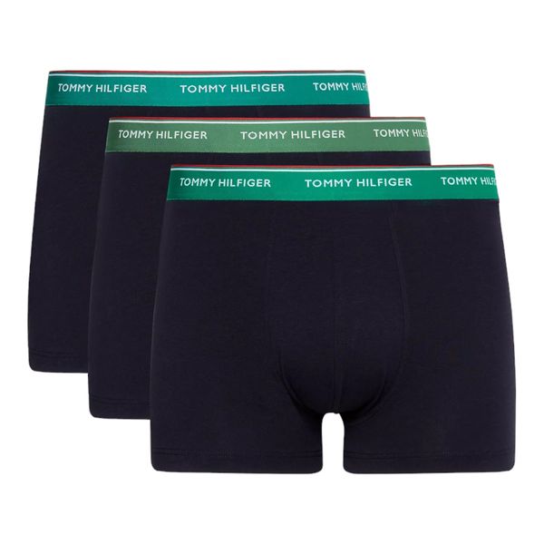 Tommy Hilfiger Tommy Hilfiger Woman's Underpants UM0UM016420UK Navy Blue