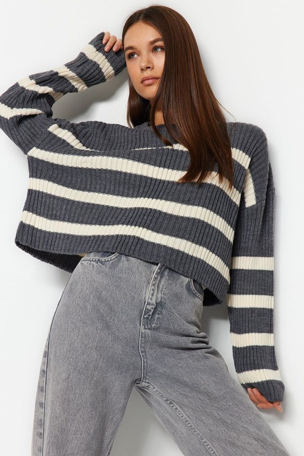 Trendyol Trendyol Anthracite Crop Striped Knitwear Sweater